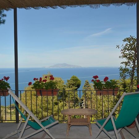 Le Ginestre Di Capri Bb & Holiday House Ανακάπρι Εξωτερικό φωτογραφία