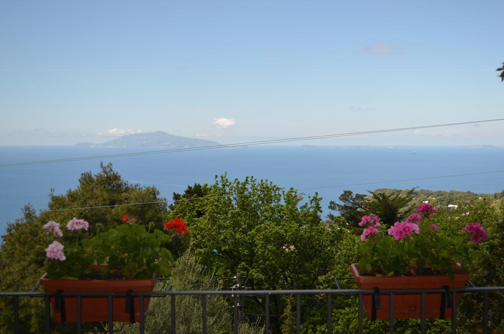 Le Ginestre Di Capri Bb & Holiday House Ανακάπρι Εξωτερικό φωτογραφία