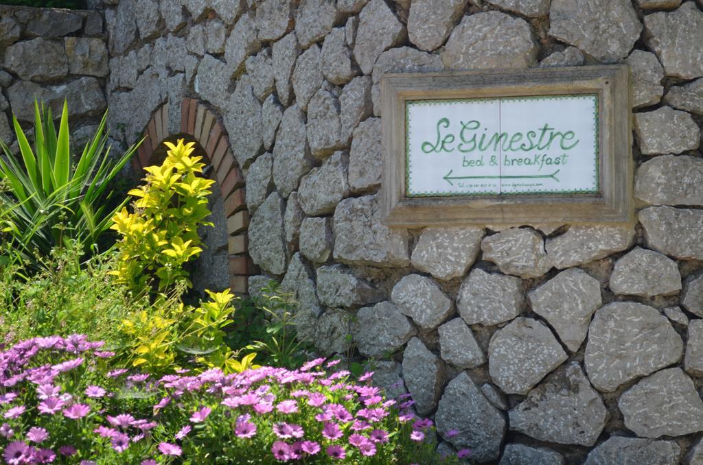 Le Ginestre Di Capri Bb & Holiday House Ανακάπρι Εξωτερικό φωτογραφία