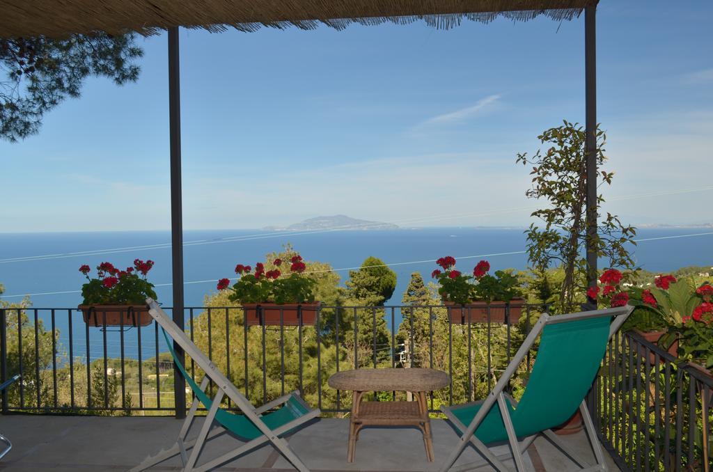 Le Ginestre Di Capri Bb & Holiday House Ανακάπρι Εξωτερικό φωτογραφία