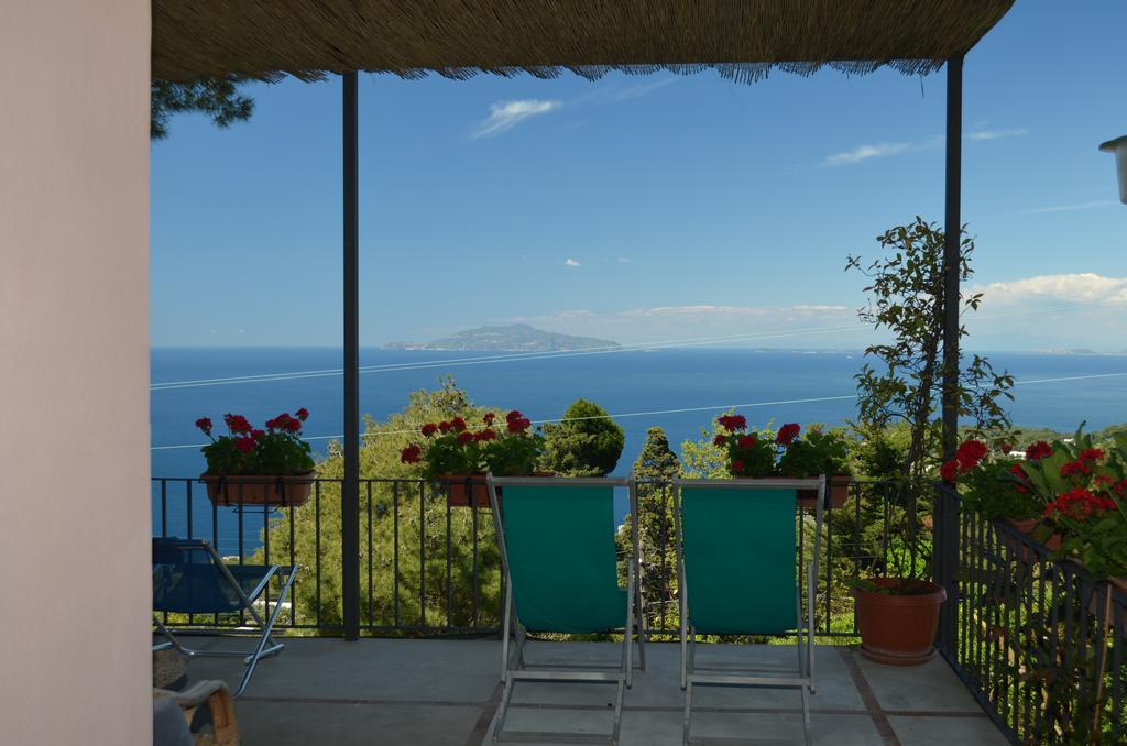 Le Ginestre Di Capri Bb & Holiday House Ανακάπρι Εξωτερικό φωτογραφία