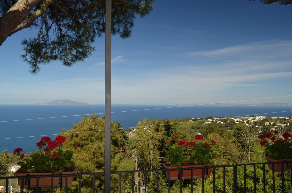 Le Ginestre Di Capri Bb & Holiday House Ανακάπρι Εξωτερικό φωτογραφία