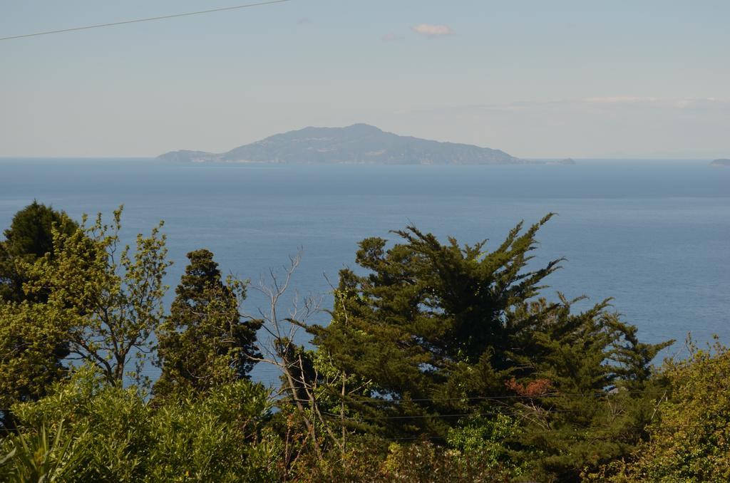 Le Ginestre Di Capri Bb & Holiday House Ανακάπρι Εξωτερικό φωτογραφία